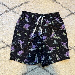 Chubbies Black Swim Shorts with Dinosaur Print